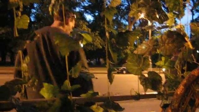 Street Jiu-Jitsu in Piter смотреть онлайн