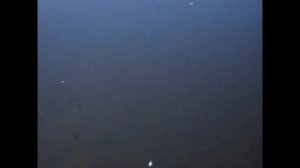 Трудовая рыбалка в Монголии