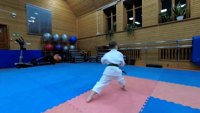 Шпаргалка по каратэ для начинающих