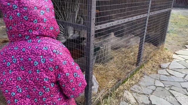 Дом на юге?1️⃣6️⃣1️⃣Красота вокруг нас?️В горы ХУДЕТЬ?Счастье в каждом дне❤️ смотреть онлайн