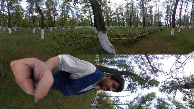 Аллея после урагана. Бор Нижегородская область 30.05.18 4K 360 VR смотреть онлайн