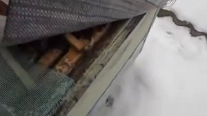 зимовка пчел и вентиляция в улье