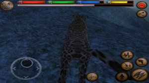??leopard Simulator -Симулятор леопарда -Ultimate Jungle Simulator - By Gluten Free Games