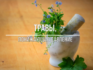 Травы, понижающие давление #травы