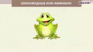 Животные. Группы животных