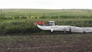 Накрывает иргу от птиц.