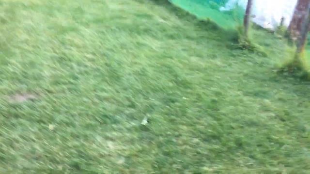 ПРАВИЛЬНАЯ РАЗМИНКА ЗА 5 МИНУТ смотреть онлайн