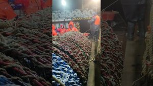 ловля краба,, судно Арка 37