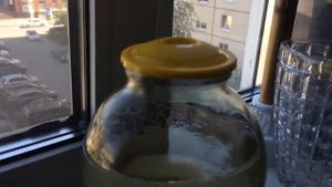 Вакуумное настаивание на дубовой щепе