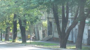 Прогулка по Туле. Июнь... #семейныйальбом #Тула