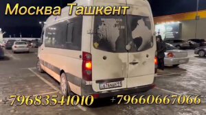 автобус Москва Sprinter ташкент-москва Sprinter Россия Узбекистан Sprinter +7968.354.1010 #прямой