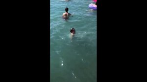 🎥 АДЛЕР 🌴 СОЧИ 🌅 ПЛЯЖ ЮЖНОЕ ВЗМОРЬЕ 🌊 МОРЕ ☀ СОЛНЦЕ 🔥 ЛЕТО 😎 ОТДЫХ 🏊 ПЛАВАНИЕ Adler Sochi @Chalenko
