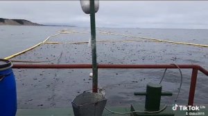 камчатка невод