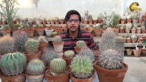 How to grow Ferocactus and Care Informative Video in Urdu/Hindi