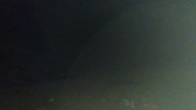 Удачная охота с лайками на барсука! смотреть онлайн