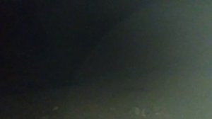 Удачная охота с лайками на барсука!