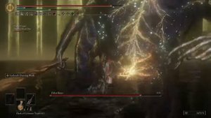 ELDEN RING the god butcher vs ng+ Radagon
