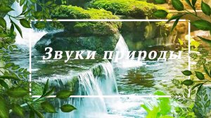 Звуки Природы для Релаксации. Музыка Эмбиент для Гармонии и Баланса. Sounds of Nature for Relaxation