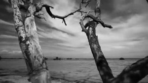 OSH 06 / Technical Itch - Another Life - Clip