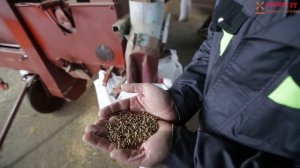 Услуги по очистке товарного кориандра. Решёта.Ру