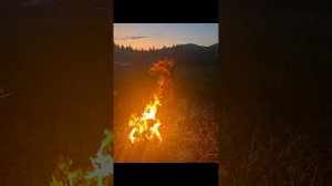 камлание под трек