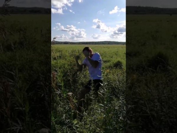 Бой с тенью  #shorts