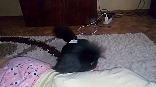 массаж от бэллы огурцовой смотреть онлайн