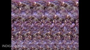 Самые красивые стерео картинки под изумительную живую музыку