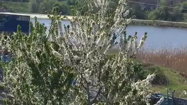 Дом - крепость для дружной семьи смотреть онлайн