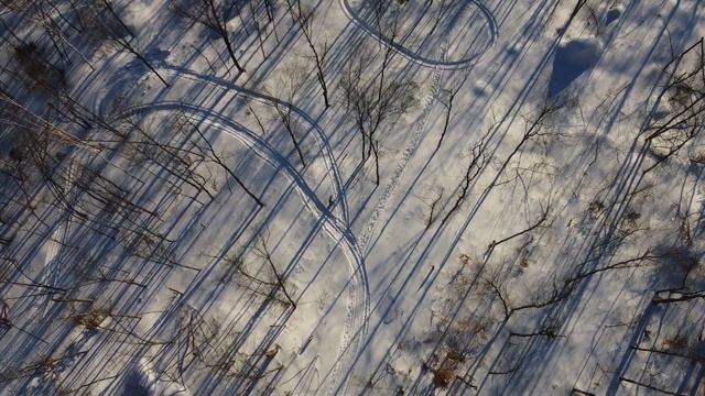 Ouverture de sentier en Skandic 500 widetrack смотреть онлайн