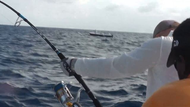 Ловля парусника на Сейшелах. смотреть онлайн