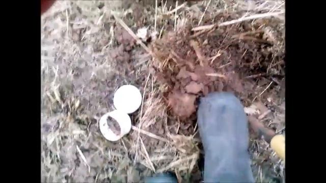 Лучшие черви  для рыбалки,  гле взять червей ранней весной - уловистая насадка
