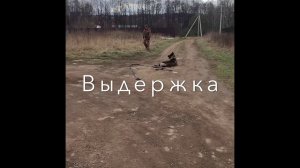 Дрессировка и социализация собак.С Вами кинолог Наталья Севостьянова