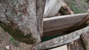 Заезд на угодья с женой, кукуруза для кабанов