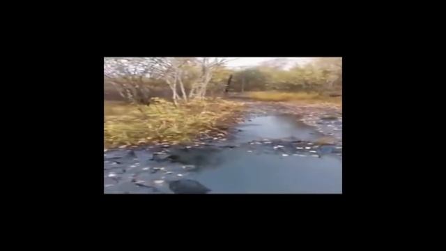 Розлив мазута смотреть онлайн