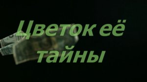 Музыкальные ассоциации в сериале Прокурорская проверка