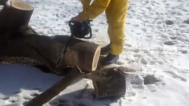 Бензопила werk ws45-pt в работе смотреть онлайн