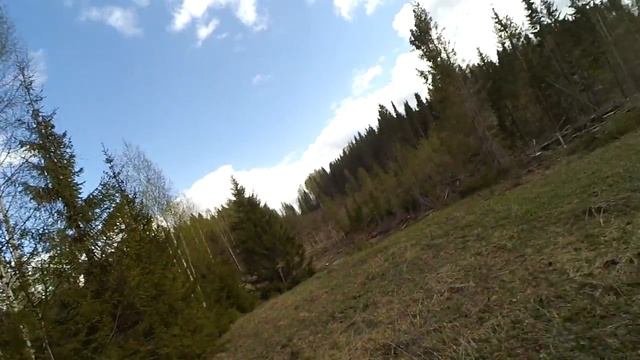 Красивая природа, клещ и поиск с металлоискателем. Стариные монеты. смотреть онлайн