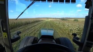 Продолжаем заготавливать силос.