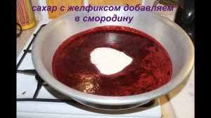 желе из черной смородины на зиму