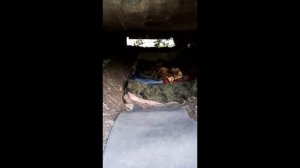 Будни СВО,быт танкистов на 0
