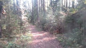 Дана мне Богом  - Слова Музыка, Олег Крашенин поёт Григорий Филь