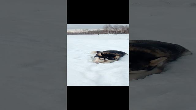 Привал в лесу