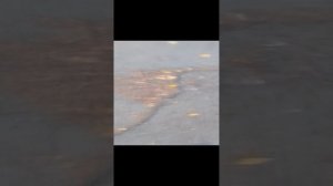 причина иза чего не было видосов
