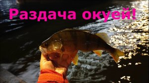 #461 #streetfishing  | Раздача окуней | MUKAI Air Stick AS-1632XUL "ZANMU Crank" |