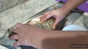 Простое блюдо в торпеде на костре