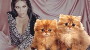 ШОК +18 BOAJEY  НА WEBCAM ( music video 2021 )