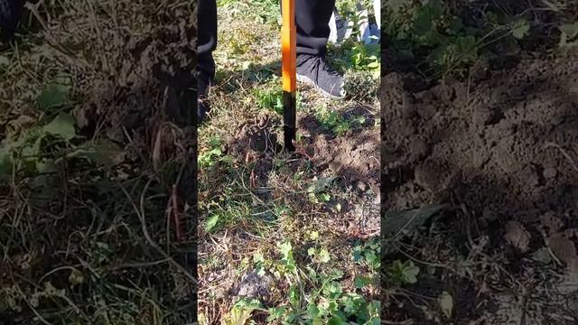 Самый классный садовый бур. 80 секунд и лунка готова! Заказ инструмента Viber +380684657713 Влад. смотреть онлайн