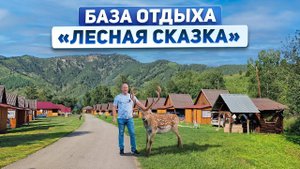 Обзор Тополинского маральника с базой отдыха "Лесная сказка" в Алтайском крае