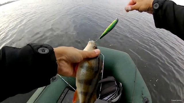 Окуни нападают на 115-й воблер / Perch attack the 115th wobbler смотреть онлайн